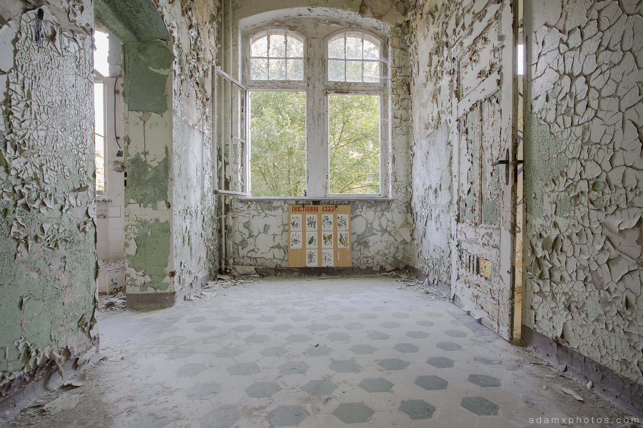 Adam X Urbex Beelitz Heilstatten Germany Urban Exploration Lung clinic Sanatorium Hospital Decay Lost Abandoned Hidden peeling paint plants