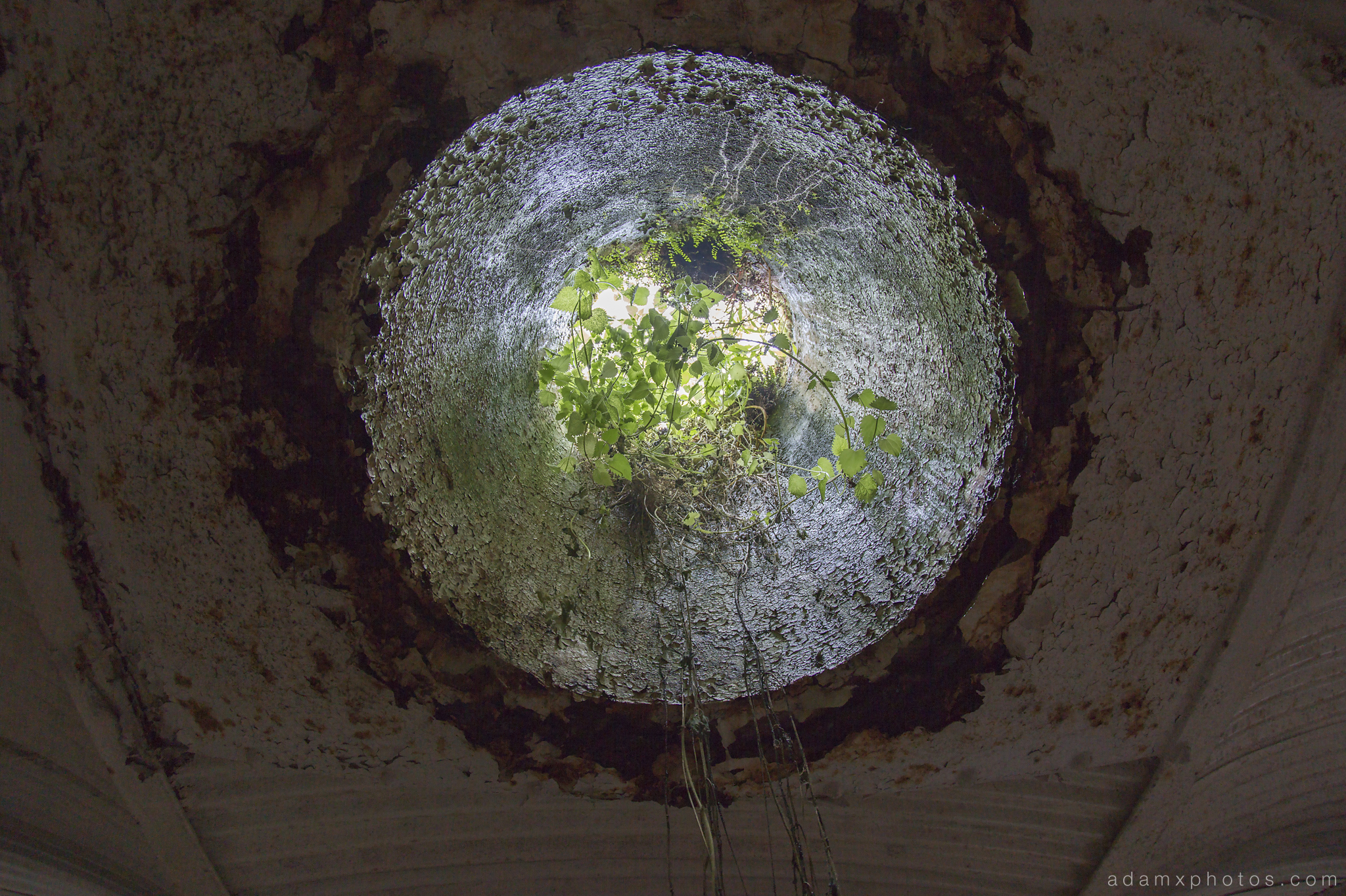 Underwater Ballroom Witley Adam X Whitaker Wright Urbex Urban Exploration skylight light hole green overgrowth photo photos report decay detail glass windows UE abandoned derelict unused empty disused decay decayed decaying grimy grime