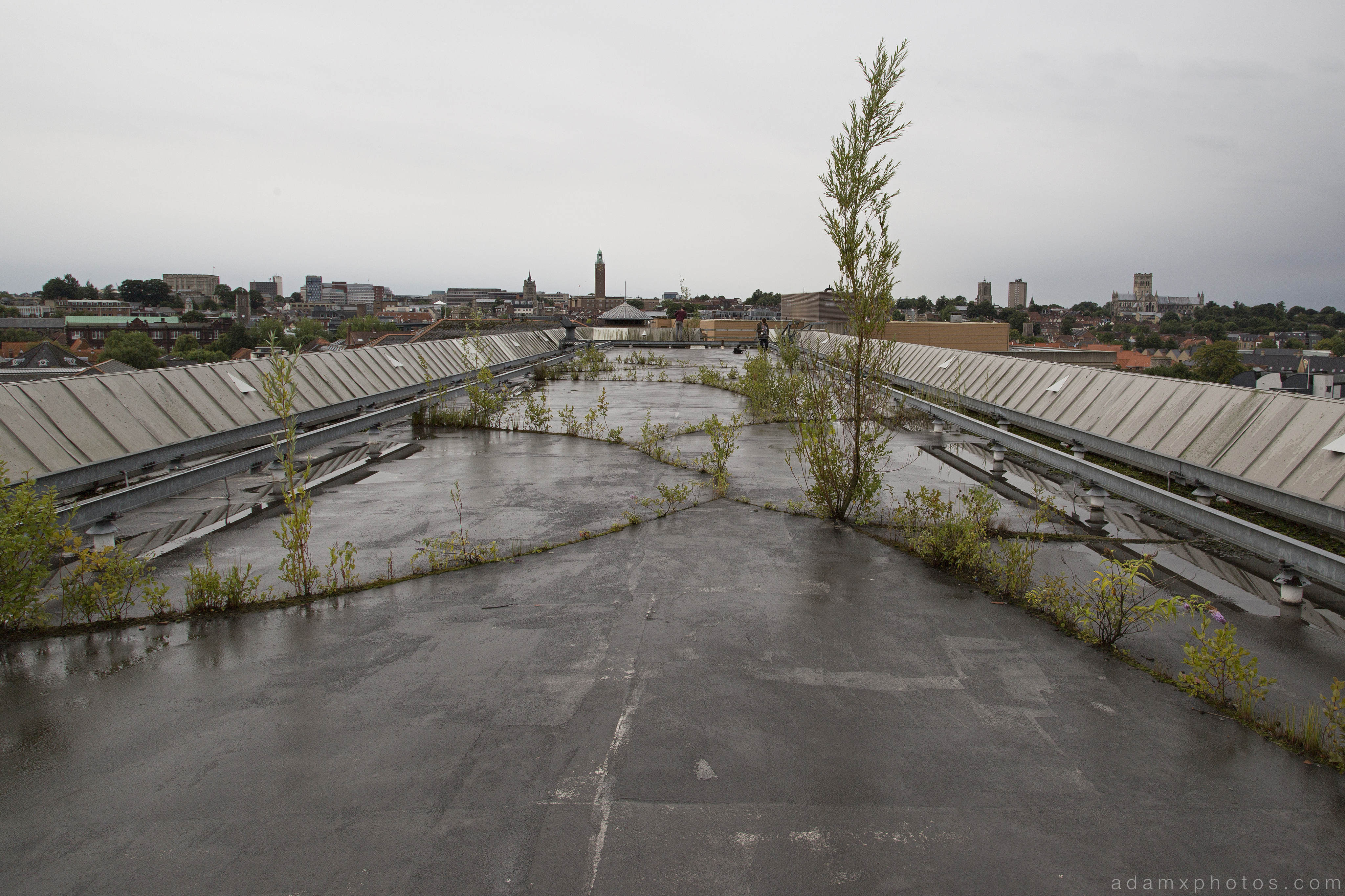Tree roof Sovereign House HMSO Norwich Urbex Adam X Urban Exploration 2015 Abandoned decay lost forgotten derelict